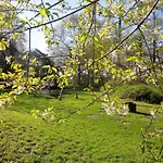 Idyll Am Kleinen Fliess *
