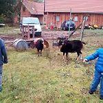 Апартаменты Idyll Am Kleinen Fliess *