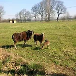 Апартаменты Idyll Am Kleinen Fliess Бург