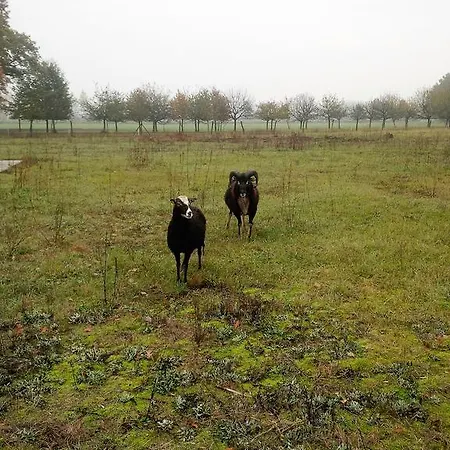 アパート Idyll Am Kleinen Fliess