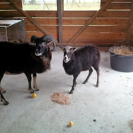 Idyll Am Kleinen Fliess ブルク