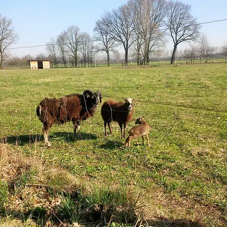 アパート Idyll Am Kleinen Fliess ブルク