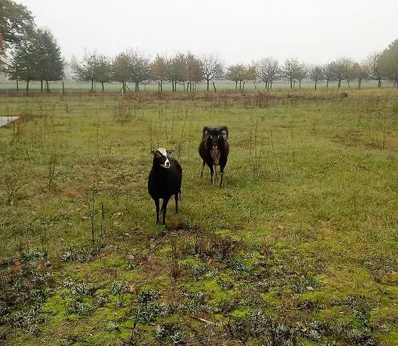 Daire Idyll Am Kleinen Fliess