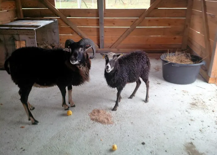 Idyll Am Kleinen Fliess Burg (Spreewald)