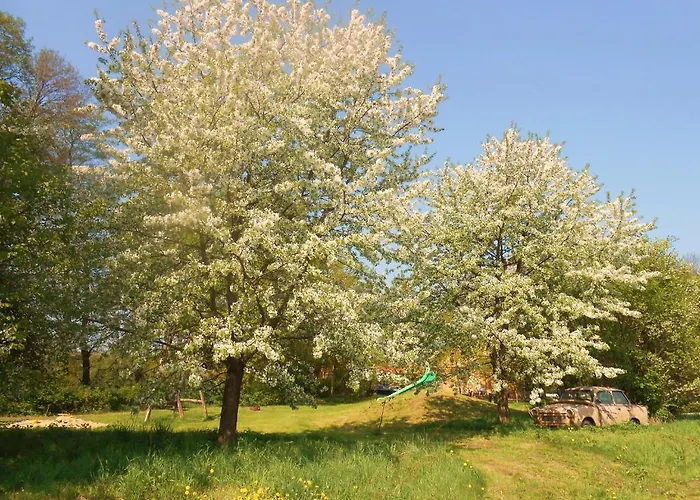 Idyll Am Kleinen Fliess Daire Burg (Spreewald)