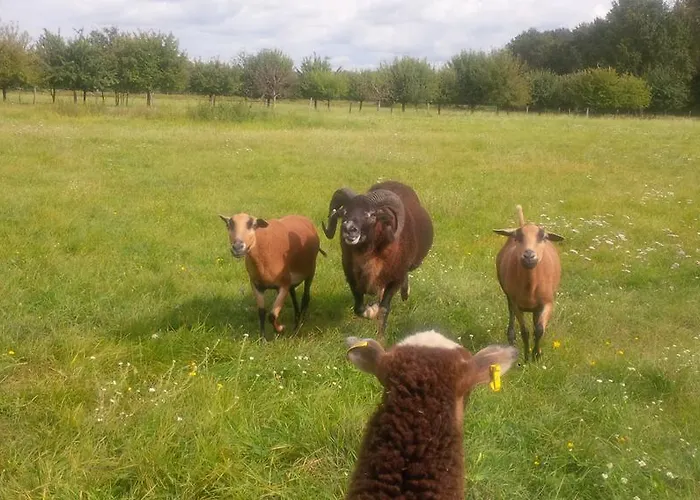 Idyll Am Kleinen Fliess Apartamento Burg (Spreewald)